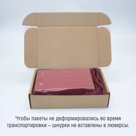  Бумажный пакет 10х15x6 см.